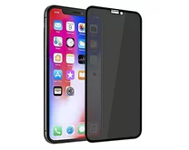 Защ. стекло iPhone 12/12 Pro Full приватное черное